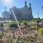 Kościół pw. św. Doroty