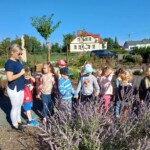 Dzieci przyglądają się roślinom