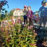 Dzieci przyglądają się roślinom