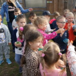 SONY DSC Karmienie alpak