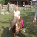 SONY DSC Przejażdżka kucykiem