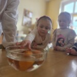 Wspólne eksperymenty